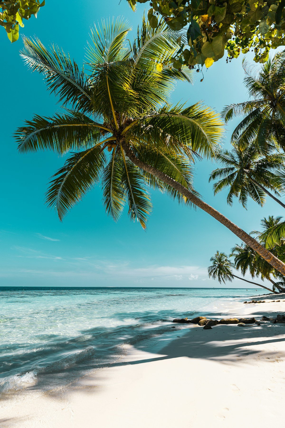 Urlaub am Strand